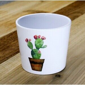 Indoor Garden 3-inch Ceramic Cactus Succulent Flower Planter Pot